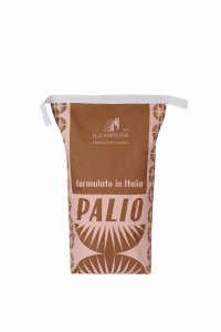 palio 72ppi.jpg