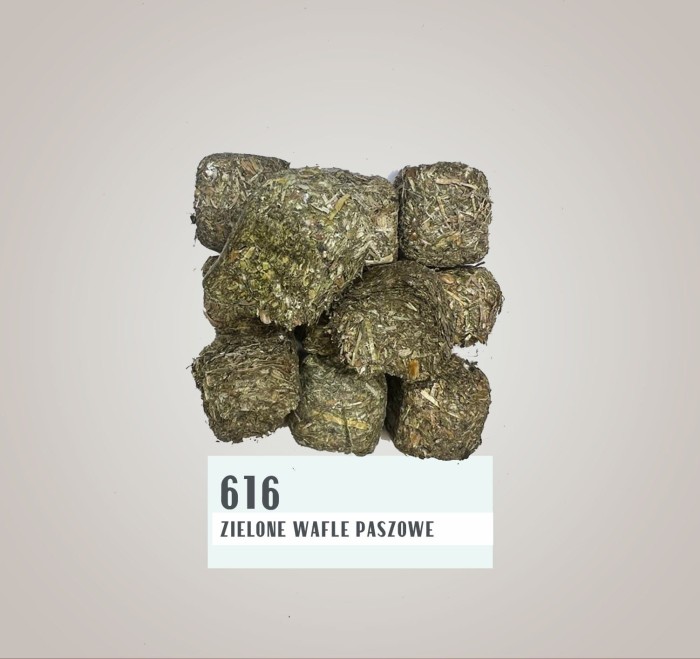 616.jpg