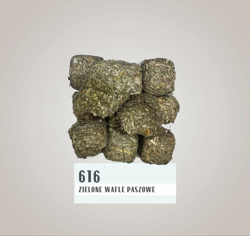 616.jpg