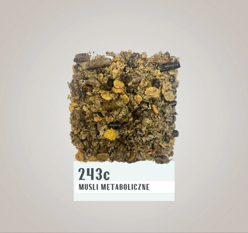 243C.jpg