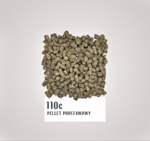 110c.jpg