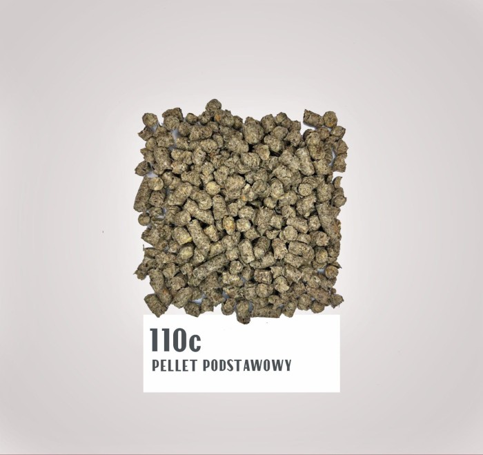 110c.jpg