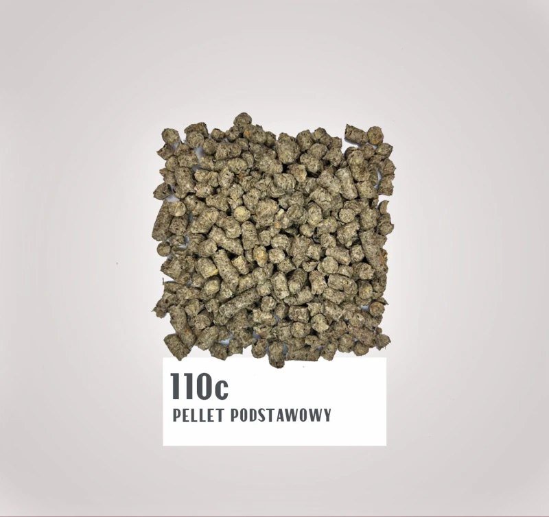 110c.jpg