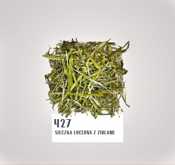 427.jpg