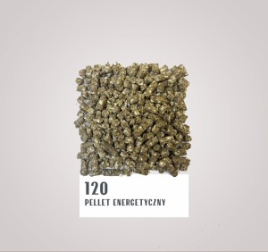 120.jpg