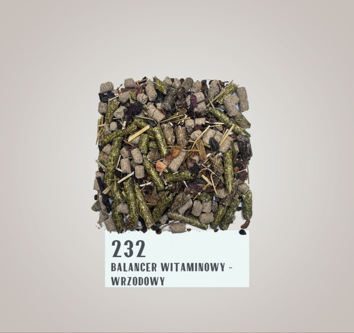 232.jpg