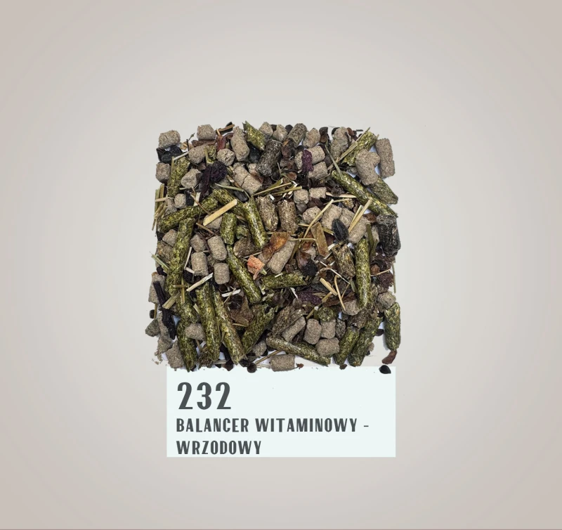 232.jpg