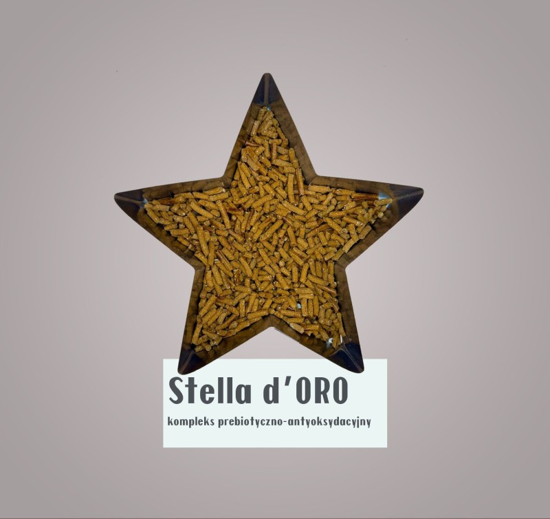 stella.jpeg