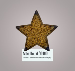 stella.jpeg