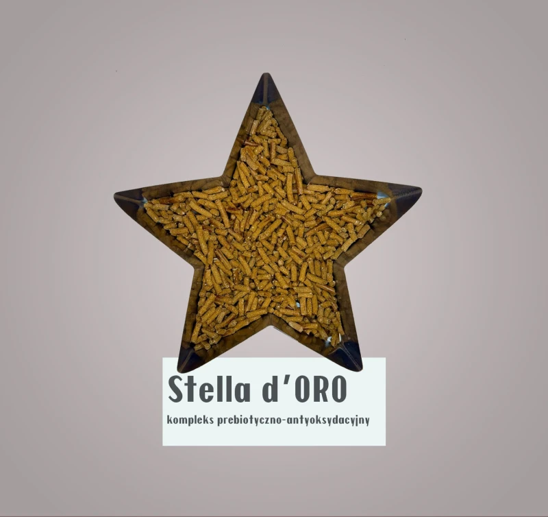 stella.jpeg
