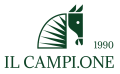 IL CAMPIONE - strona główna